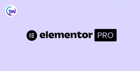 elementor pro